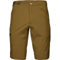 Black Diamond Valley Shorts