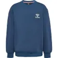 Hummel Bless Collegegenser