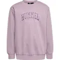 Hummel Fast Collegegenser