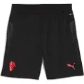 Puma AC Milan Training Shorts Men, Sport, Black/Red, S