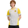 Puma Borussia Dortmund Training Jersey Men, Sport, Silver Mist/Faster Yellow, M