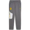 Puma Borussia Dortmund PUMATECH Sweatpants Men, Sport, Cool Dark Gray/Faster Yellow, S