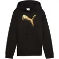 Puma Essentials Metallic Hoodie Youth, Back, Black/Metallic Gold, 9-10Y
