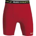 Select Basislag Shorts