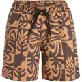 Quiksilver Everyday Straight Volley 17 Shorts brun