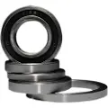 BLACK BEARING Ceramic Lager
