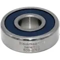 BLACK BEARING Ceramic Lager