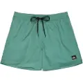 Quiksilver Everyday Solid Volley 15 Boardshorts blå