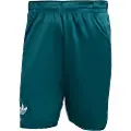 Adidas Pro Climacool Ergo 9´´ Shorts