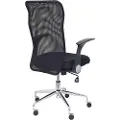 Piqueras Y Crespo Minaya Ergonomisk Kontorstol