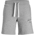 Jack & Jones Jpstandy Sports Shorts