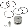 Hert Aprilia Leonardo Stempel
