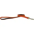 Kentucky Nylon Plaited Hundebånd 12 Mm