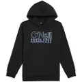 O'Neill Essentials Hettegenser