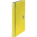 Leitz Recycle - Utvidbar mappe - 5 rom - 5 deler - fortrykt: 1-5 - for A4 (210 x 297 mm) - kapasitet: 250 ark - med fliker - gul