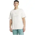 Adidas All Szn Embroidered Graphics Kortarmet T-skjorte