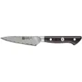 Zwilling 30570-101-0, Fruktkniv, 10 cm, Stål, 1 stykker