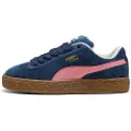 Puma Suede Xl Treningssko
