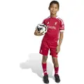 Adidas Liverpool Fc 25/26 Mini Hjem Juniorsett