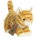 ECO NATION Aurora Orange Tabby Bamse