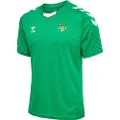 Hummel Core Xk Poly Kortarmet T-skjorte