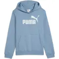 Puma Ess Nº 1 Logo Hettegenser