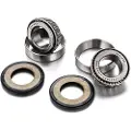 FACTORY LINKS Rieju 50cc Styrelagersett