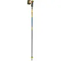 LEKI Spitfire 3d Spaserstokker