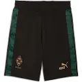 Puma Borussia Mönchengladbach KING Shorts Men, Sport, Black/Gold, XS