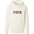 Puma Ess 2 Color No 1 Logo Hettegenser