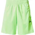 Adidas Originals Adicolor Jacquard Shorts