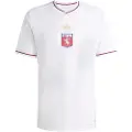 Adidas Olympique De Lyon Anniversary Kortarmet T-skjorte