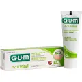 Gum Sunstar GUM D. GUM PASTA ACTIVITAL Q10 75ml6050