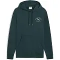 Puma Class Graphic Hettegenser