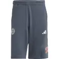 Adidas Fc Bayern Us Pack Shorts