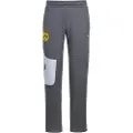 Puma Borussia Dortmund PUMATECH Sweatpants Men, Sport, Cool Dark Gray/Faster Yellow, M