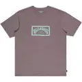 Billabong Arch Frame Kortarmet T-skjorte