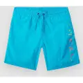 O'Neill Cali Melting 14'' Kids Boardshorts blå
