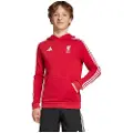 Adidas Liverpool Fc Hettegenser