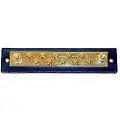 Sierra Terminalbar
