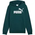 Puma Ess Nº 1 Logo Hettegenser