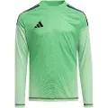 Adidas Tiro 25 Competition Langarmet T-skjorte