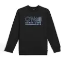 O'Neill Essentials Collegegenser