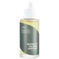 Isntree - Mugwort Calming Ampoule