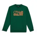 O'Neill Essentials Collegegenser