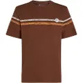O'Neill O'Riginals Stripe T-skjorte brun