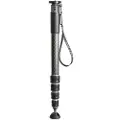 Gitzo Gm45452 Serie 5 Monopod