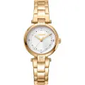 DKNY Essential Mini 28 Mm Dameklokke