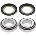 Moose Hard-parts 22-1032 Husqvarna/husaberg/bmw/cagiva/harley Davidson/victory Styrelagersett