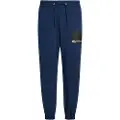 Karl Lagerfeld Box Logo Regular Svettbukser